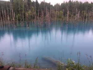 湖