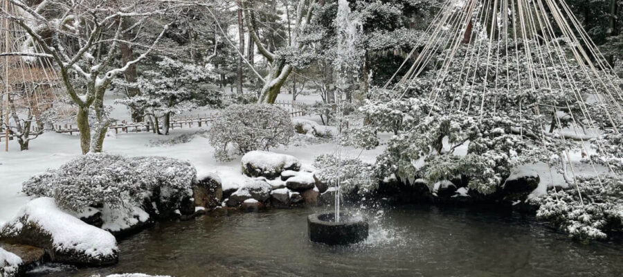 雪が積もっている景色