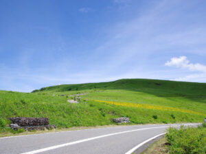 草原が広がる景色