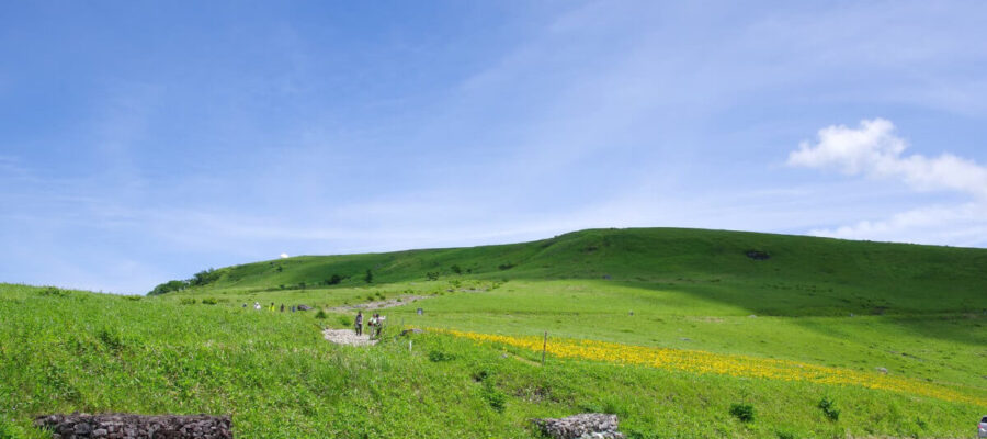 草原が広がる景色